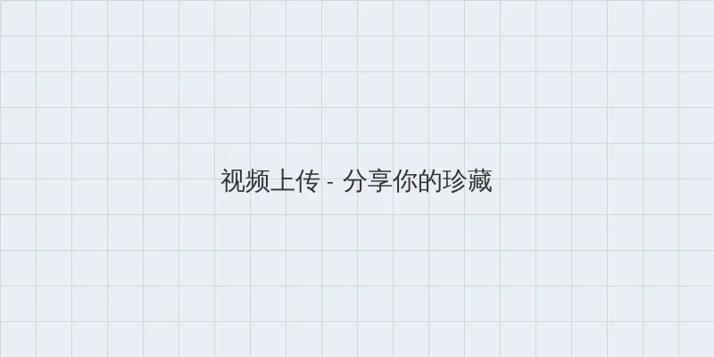 中文音声 视频上传区域